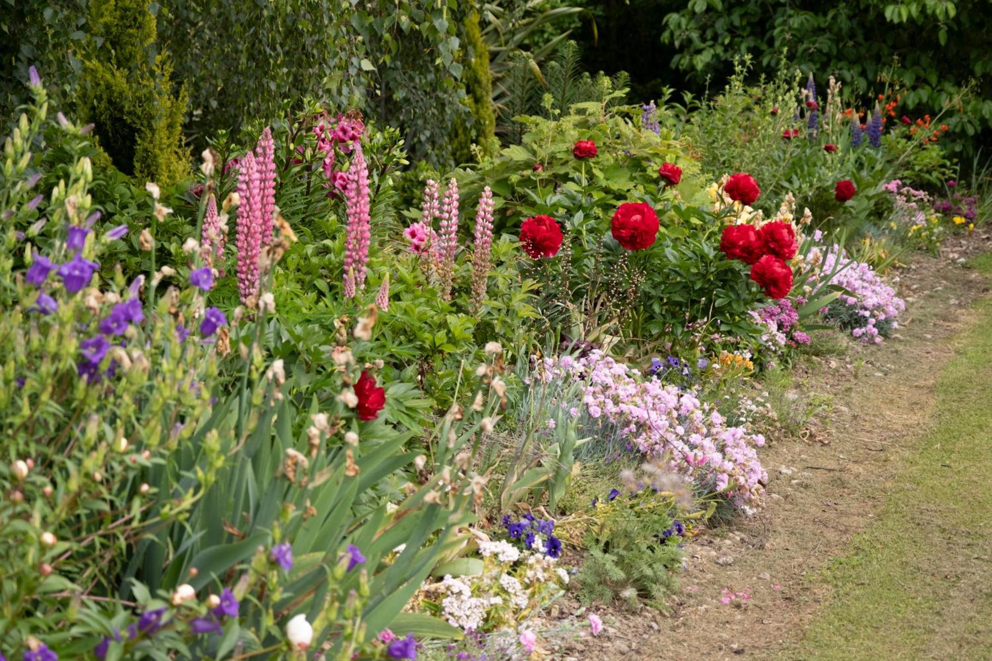 Benger Garden Chalets Millers Flat Exteriör bild